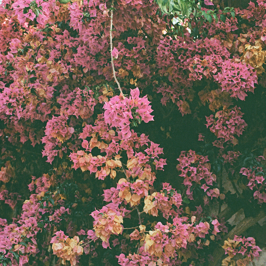 Earworm Alert: "Making U"! Vivid Electronic House Vibes from Monoko and Inkko - KALTBLUT Magazine